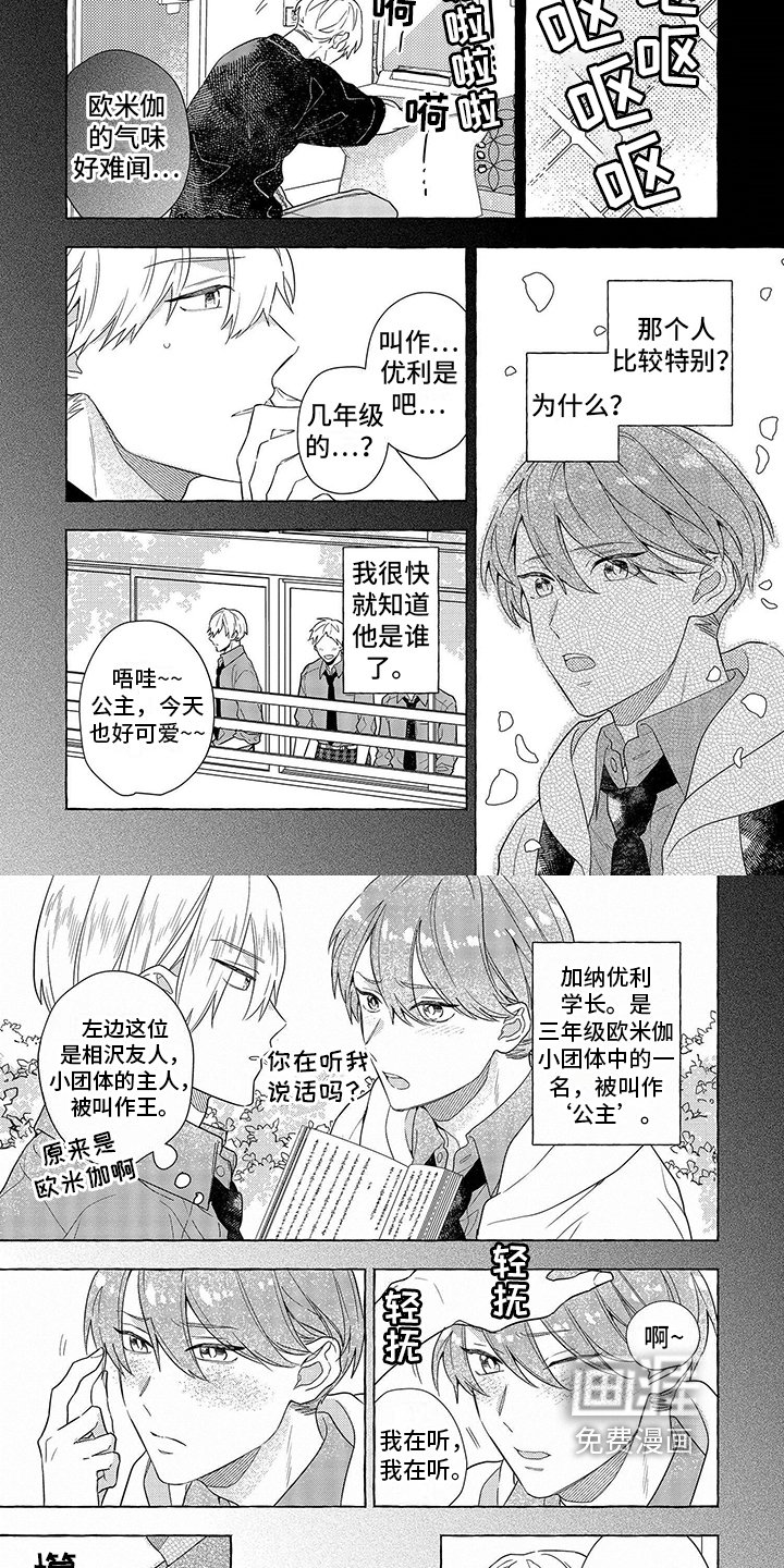 第11章：不同