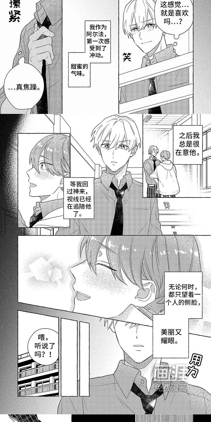 第11章：不同