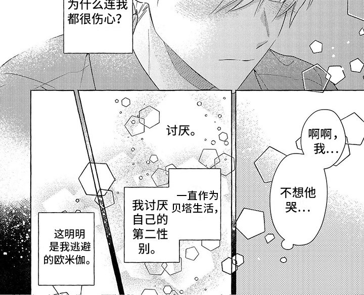 第11章：不同