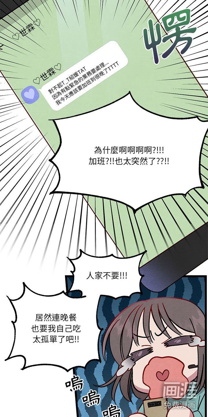第11章：重婚危机