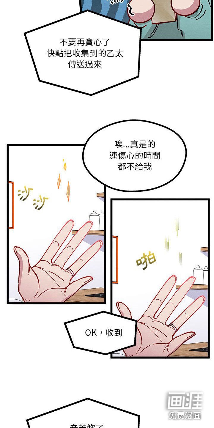 第11章：重婚危机