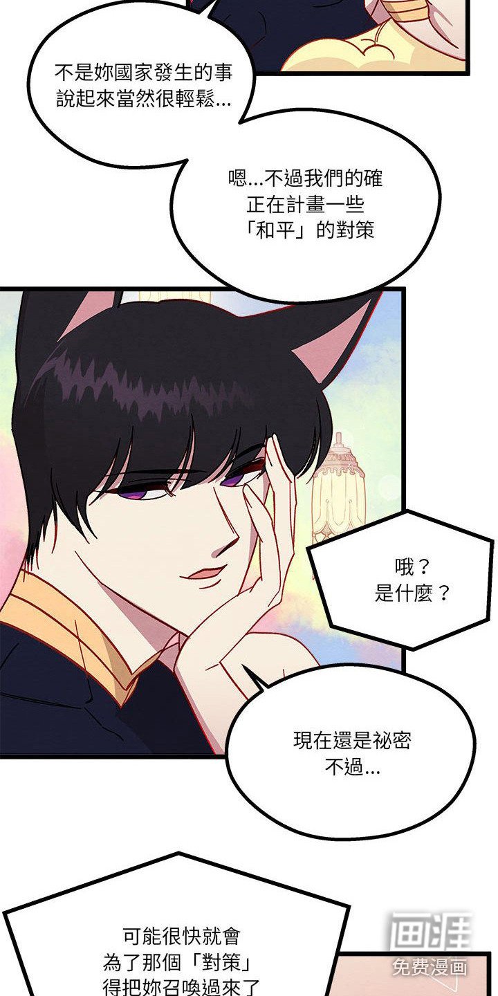 第11章：重婚危机