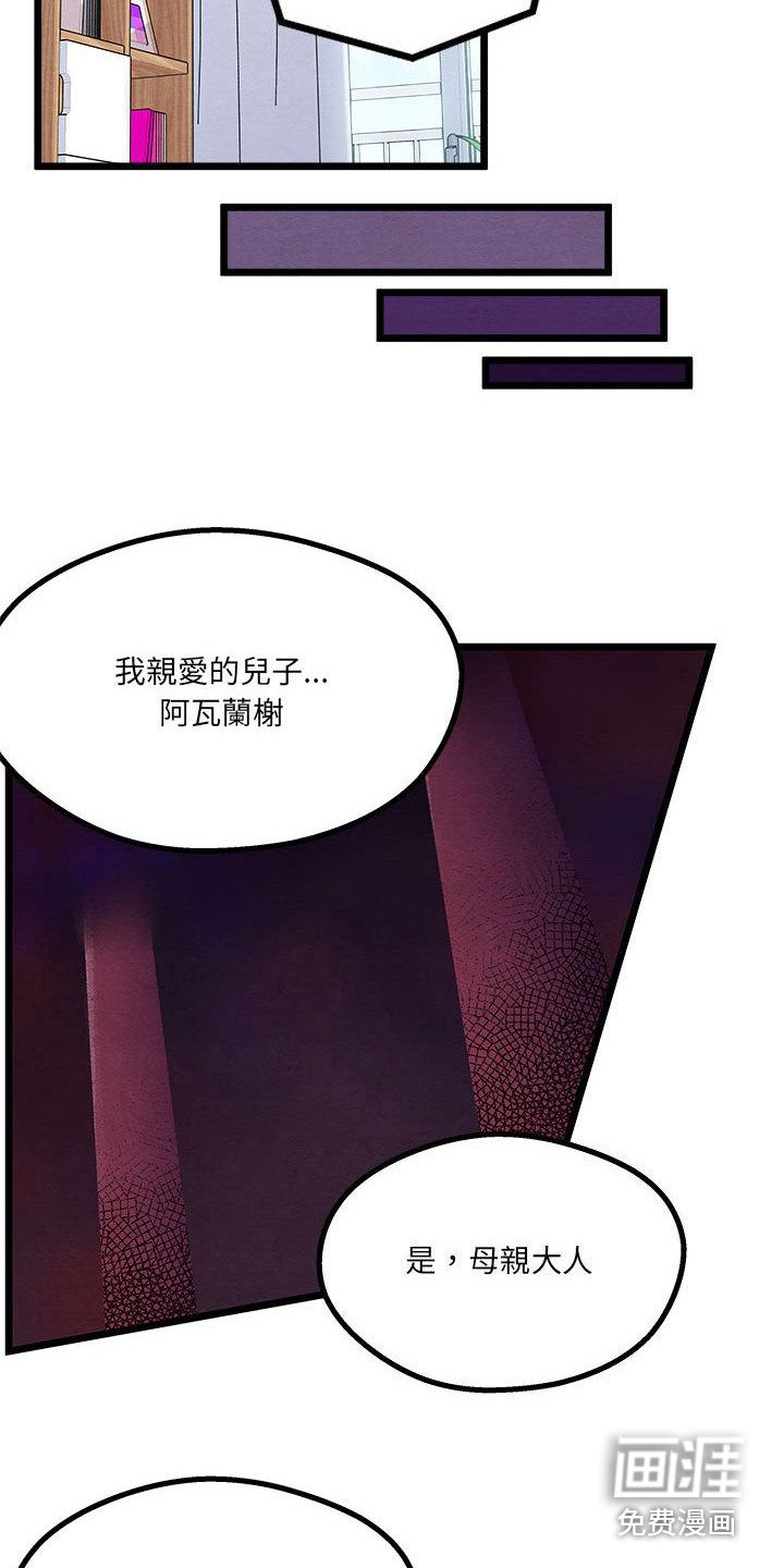第11章：重婚危机