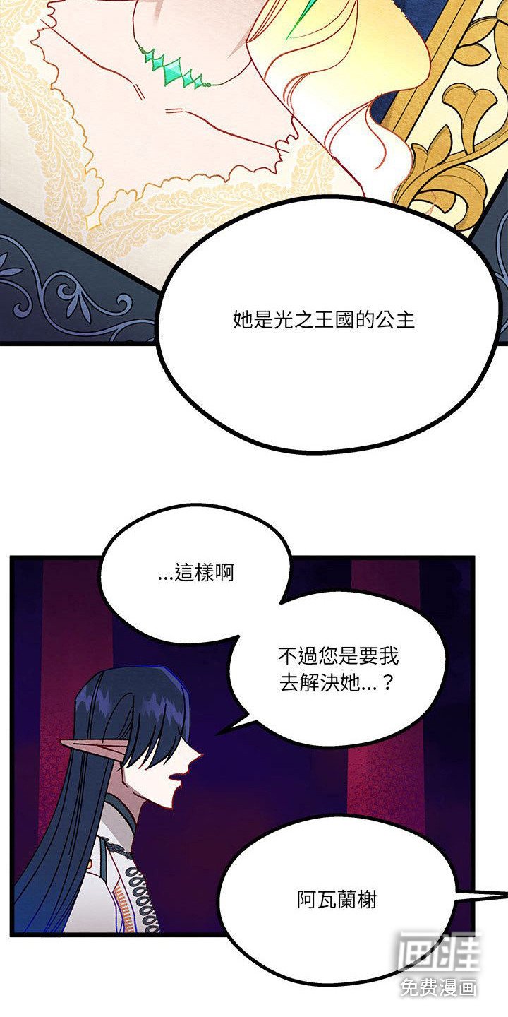 第11章：重婚危机