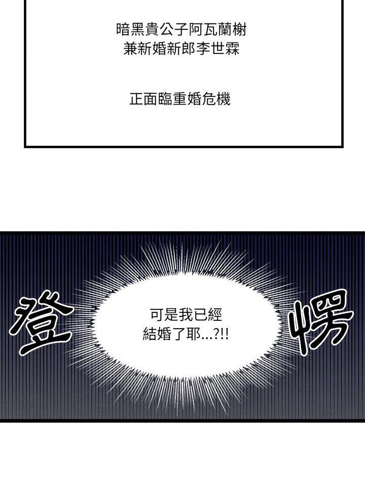第11章：重婚危机