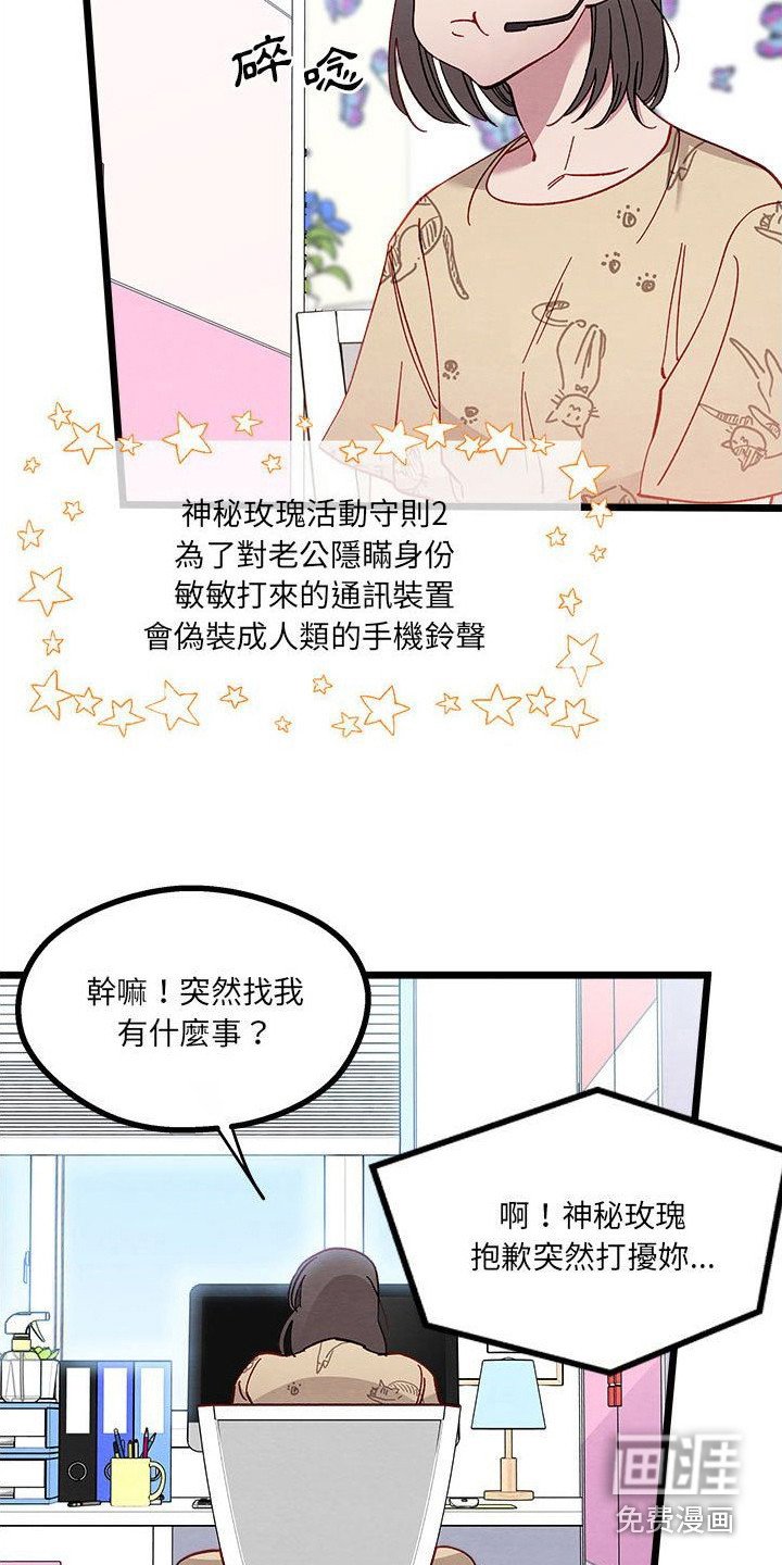 第13章：对策