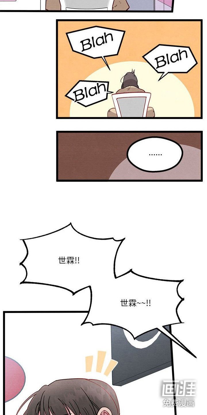 第13章：对策