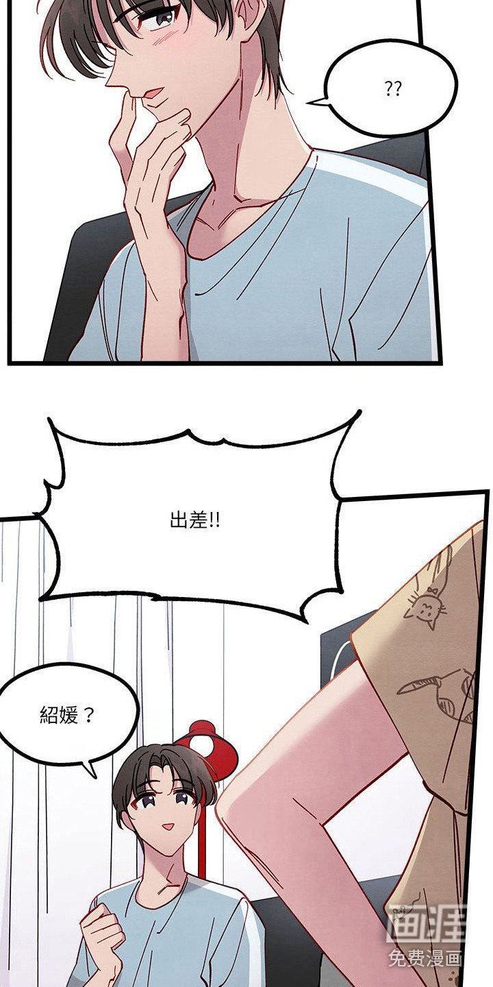 第13章：对策