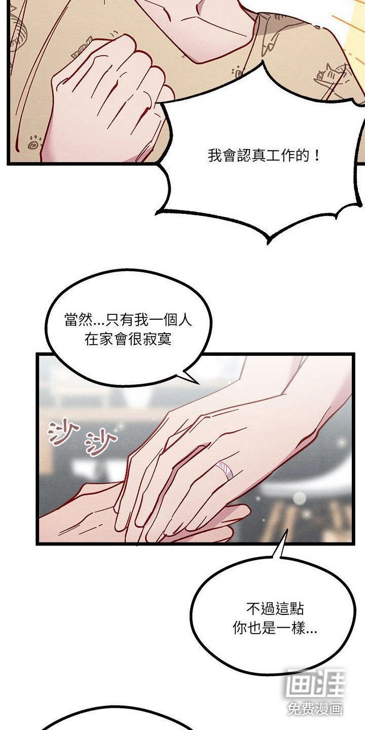 第13章：对策