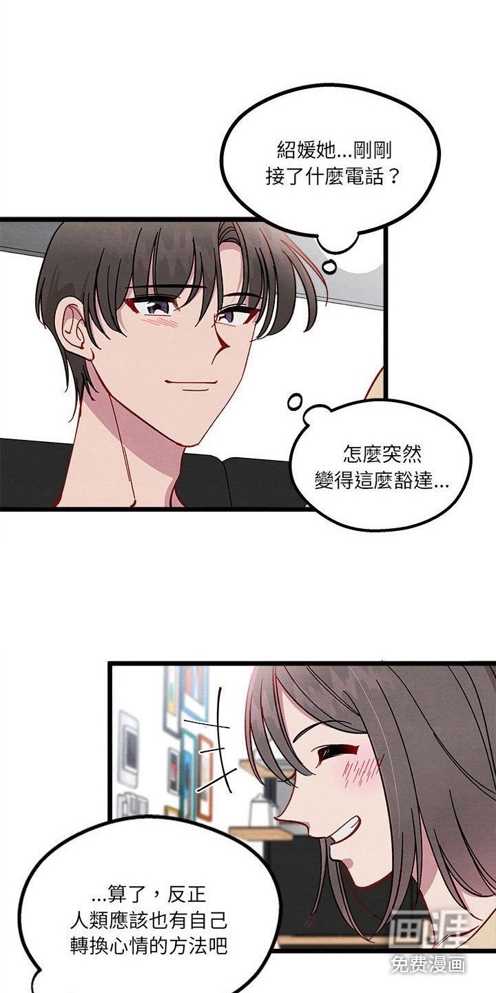 第13章：对策