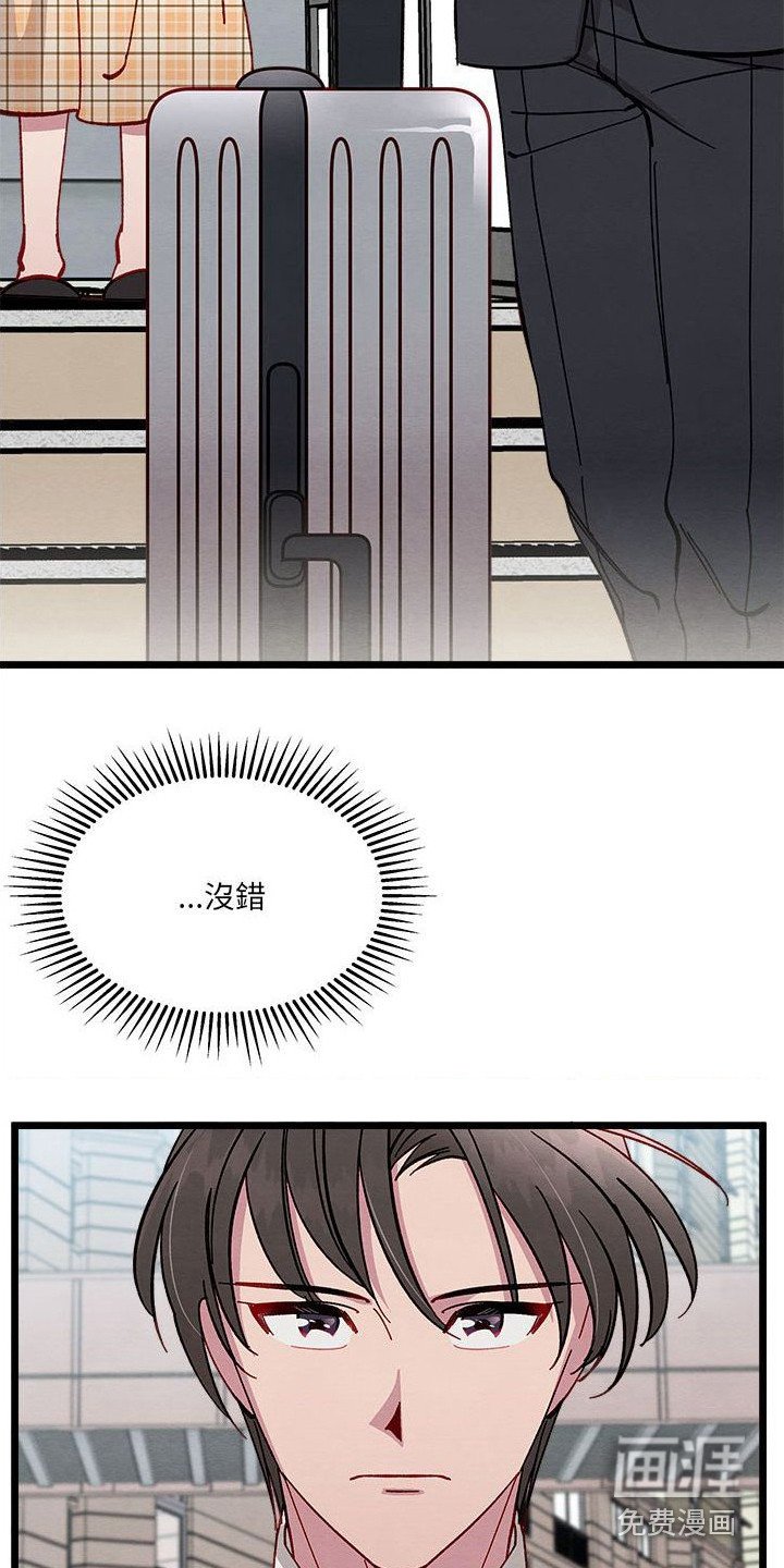第13章：对策