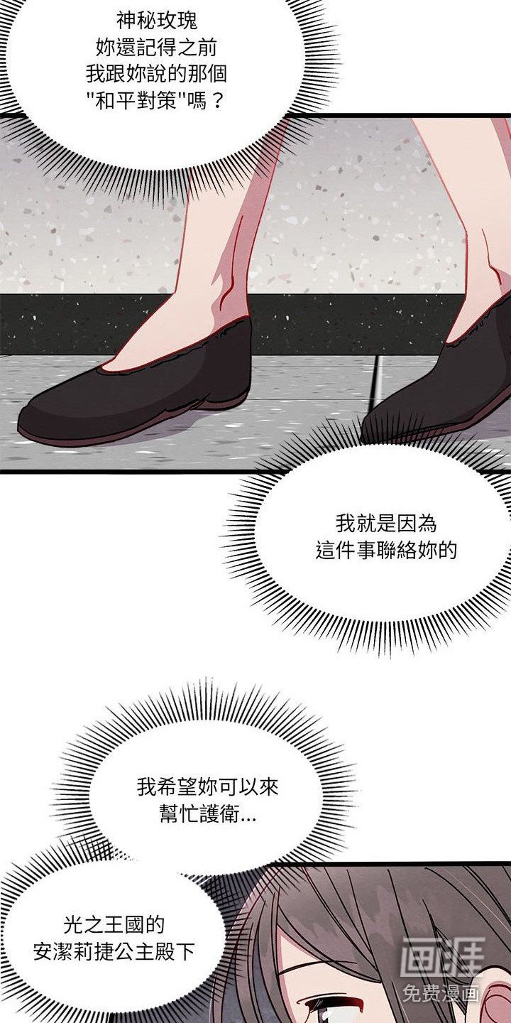 第13章：对策