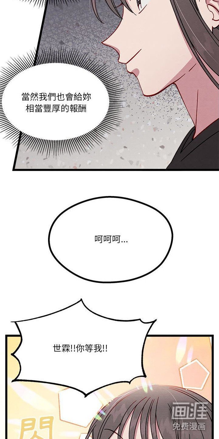 第13章：对策