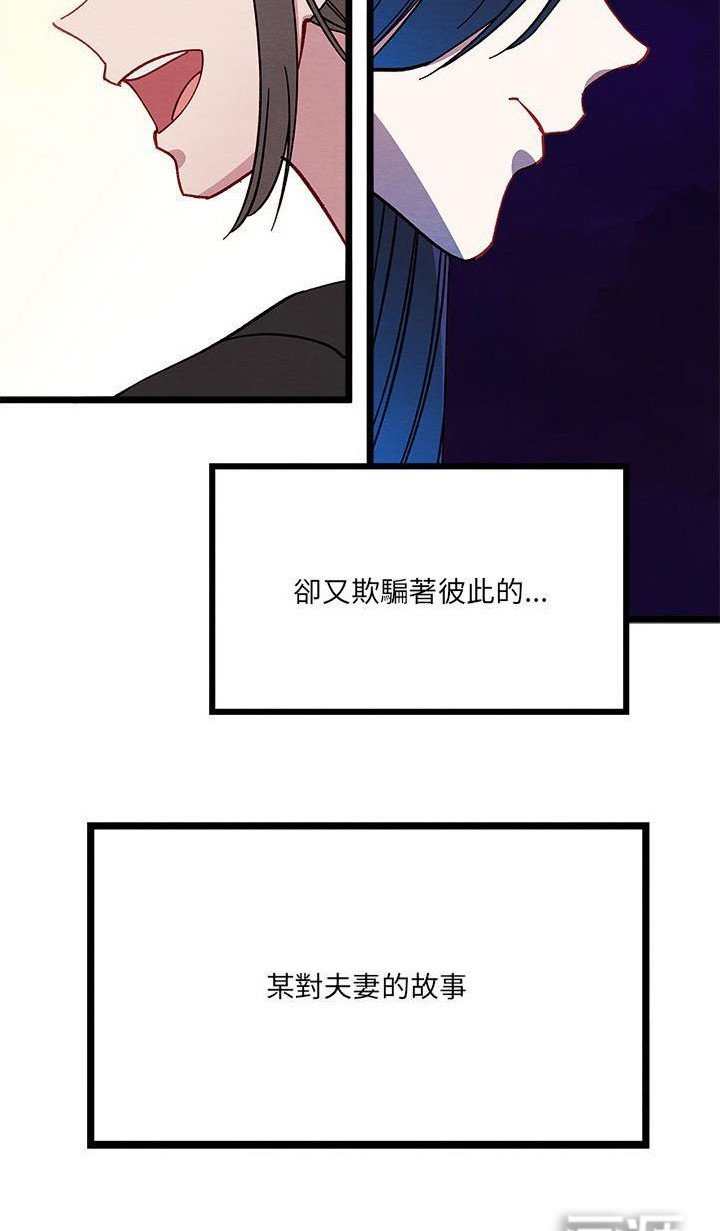 第13章：对策