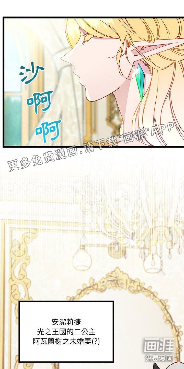 第14章：光之国公主