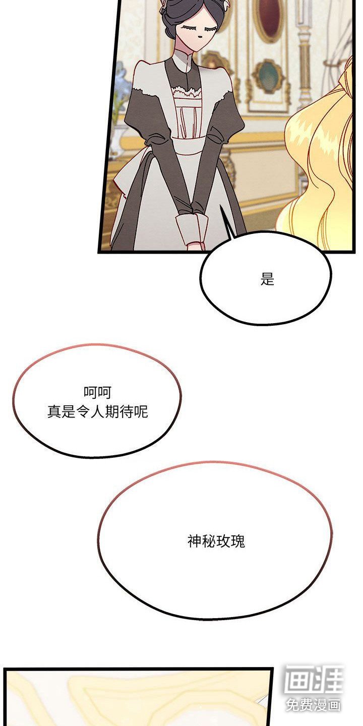 第14章：光之国公主
