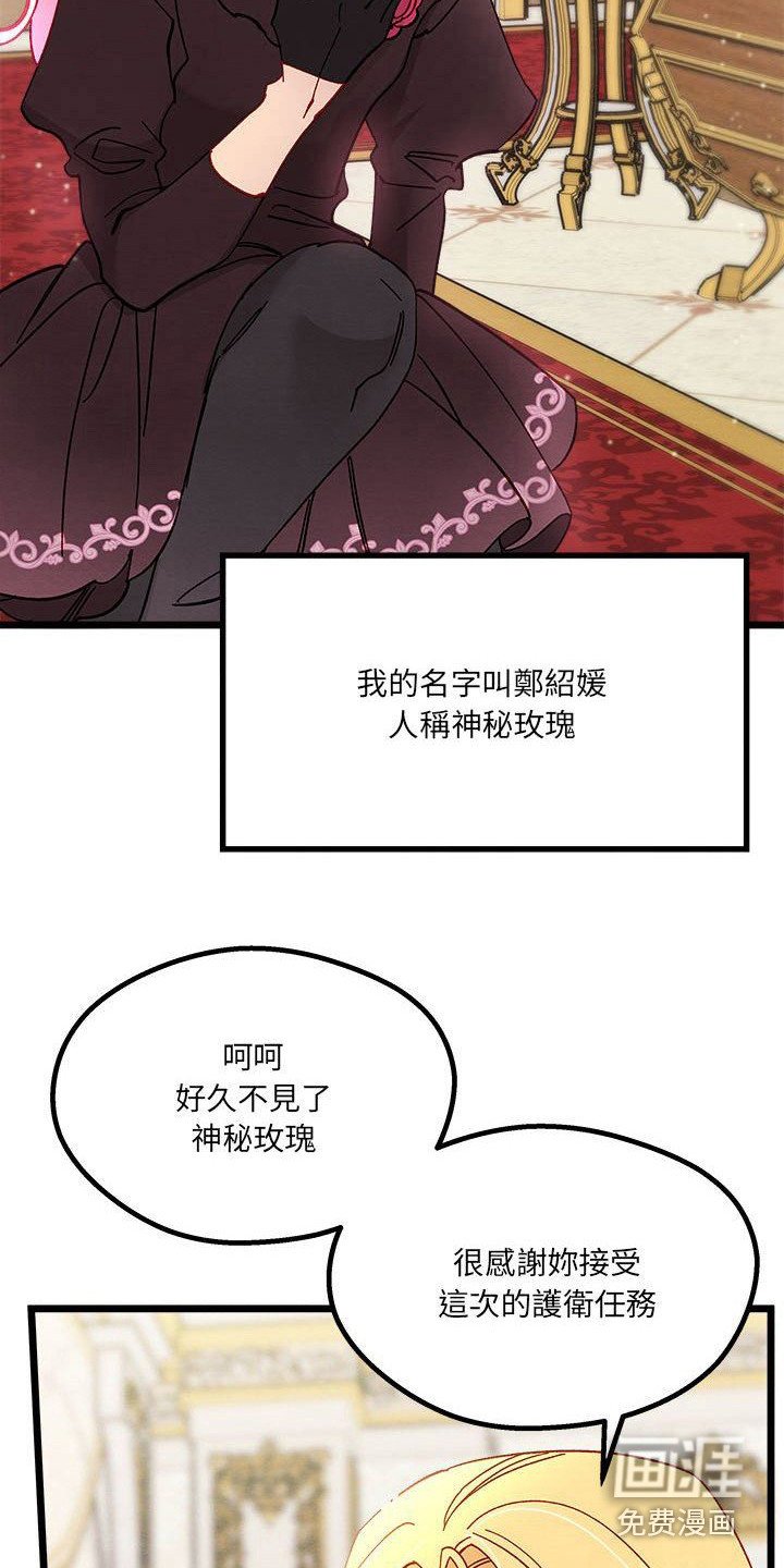 第14章：光之国公主