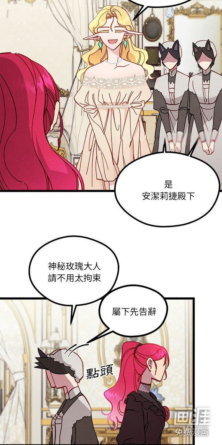 第14章：光之国公主