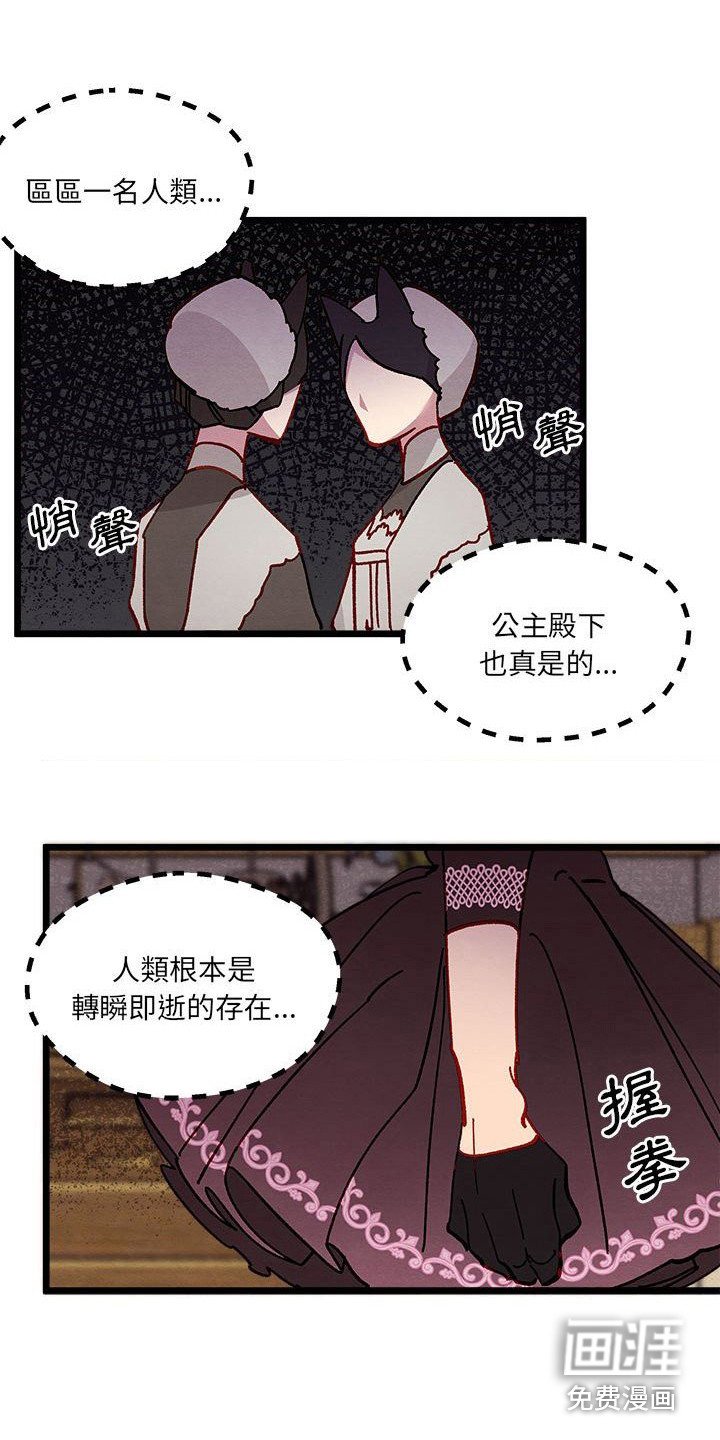 第14章：光之国公主