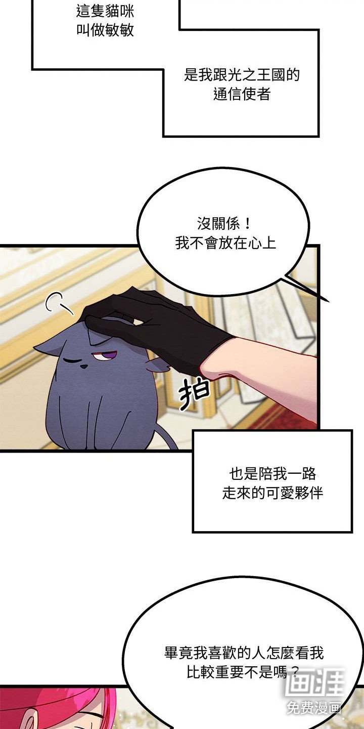 第14章：光之国公主