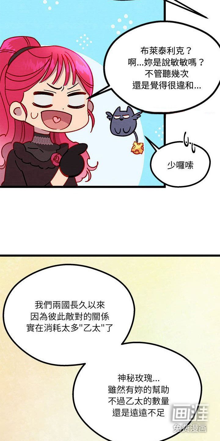 第14章：光之国公主