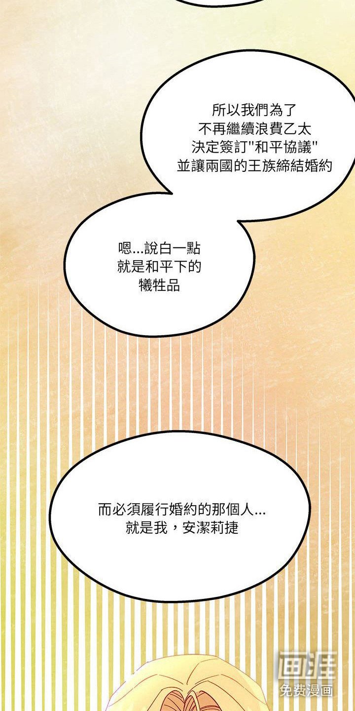 第14章：光之国公主