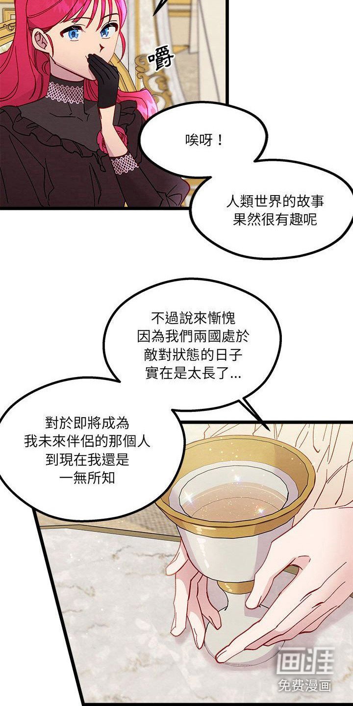 第14章：光之国公主