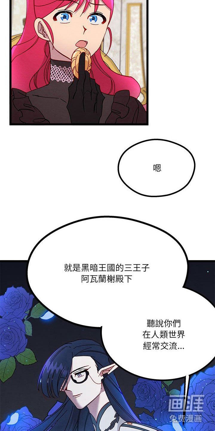 第14章：光之国公主