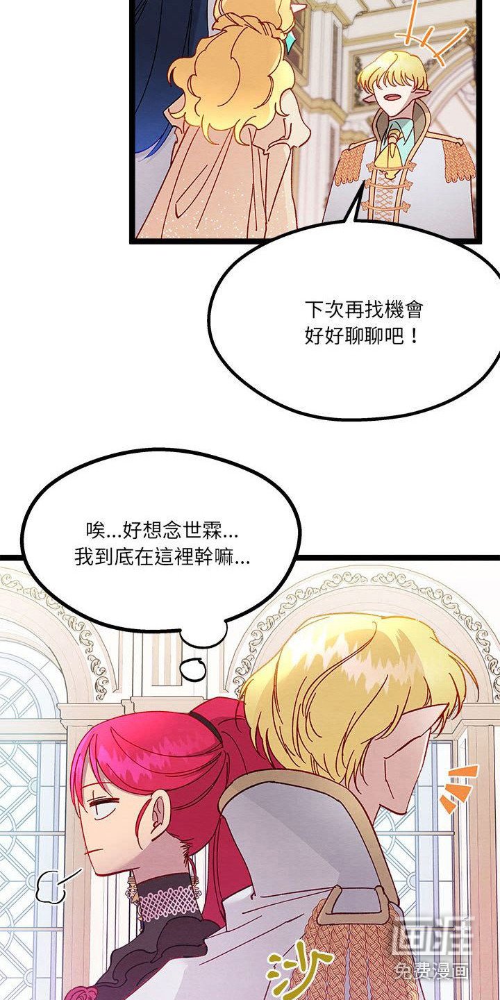 第16章：会面