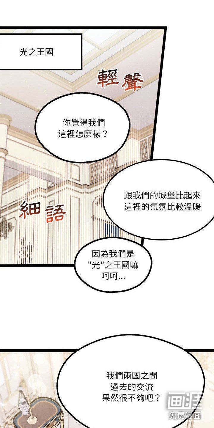 第16章：会面