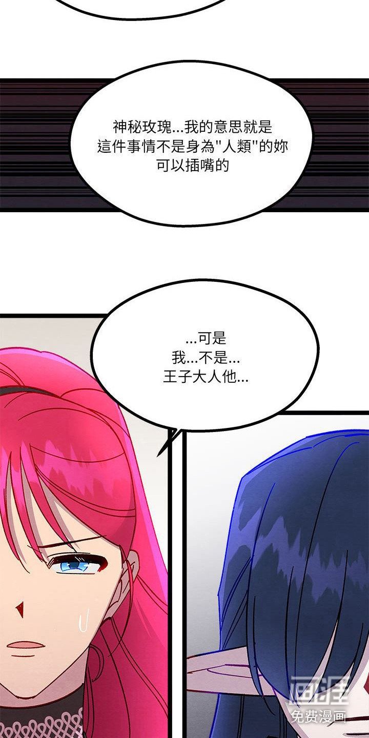 第17章：碎碎念