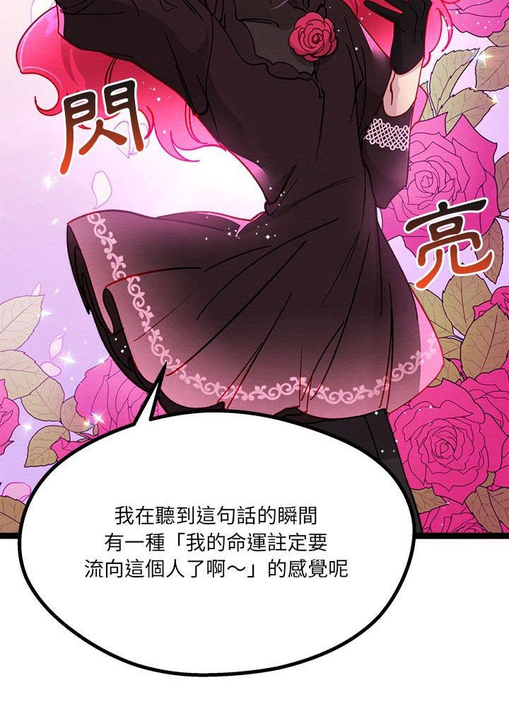 第22章：神秘玫瑰 