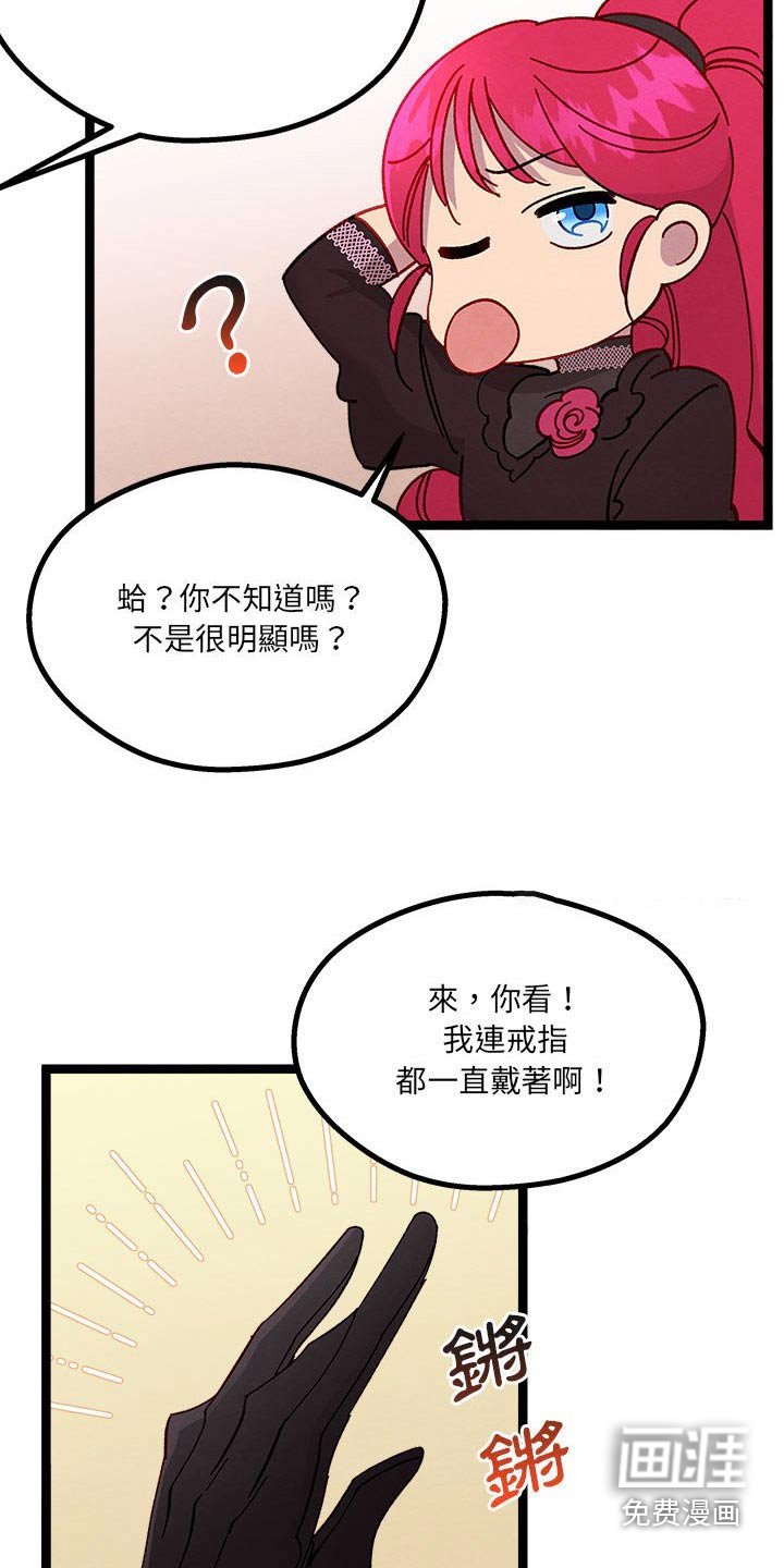 第22章：神秘玫瑰 