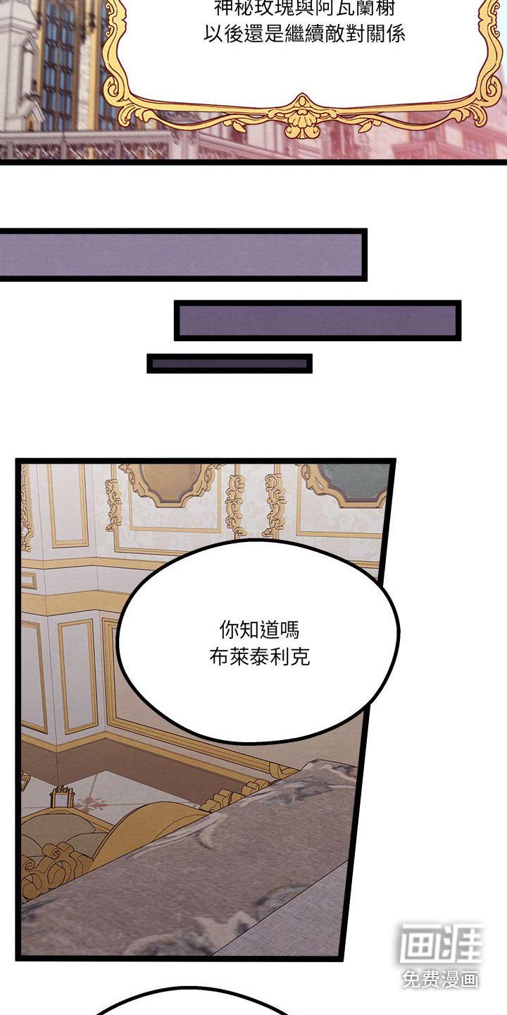 第22章：神秘玫瑰 