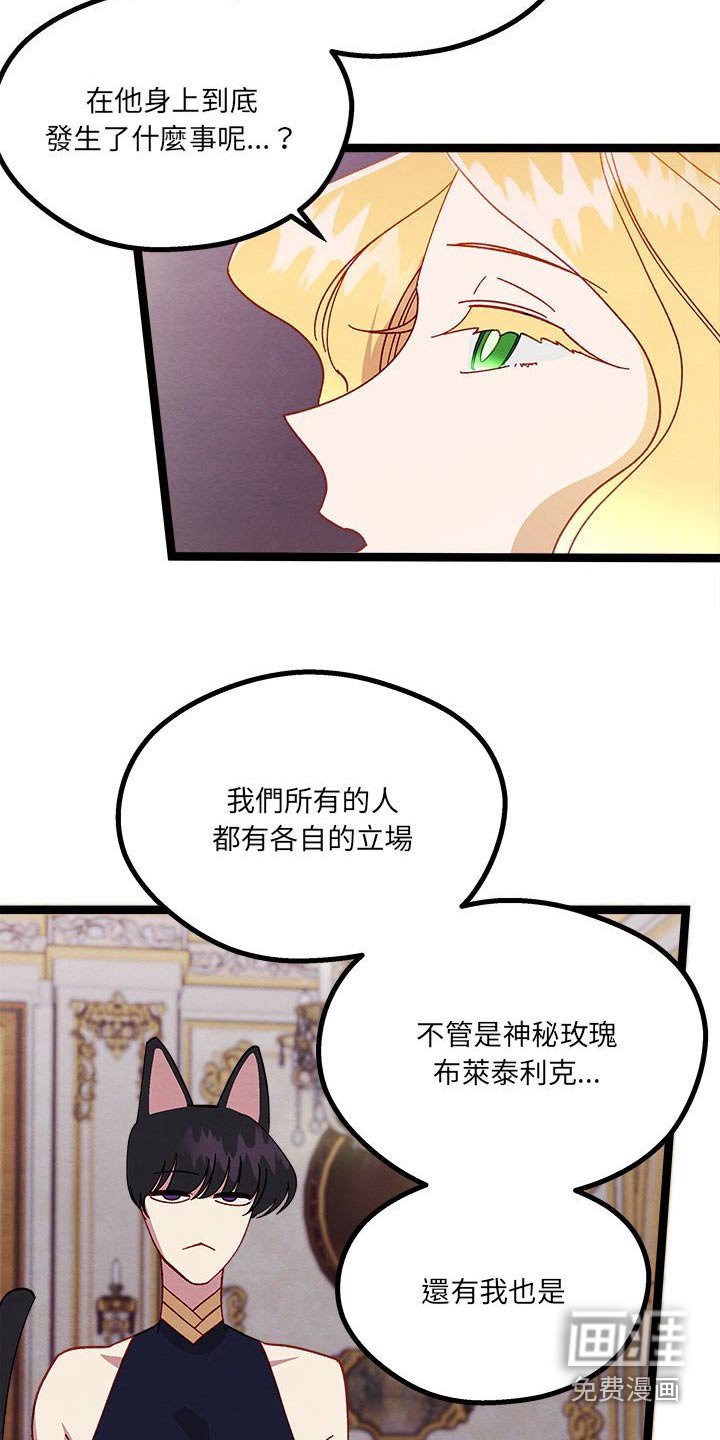 第22章：神秘玫瑰 