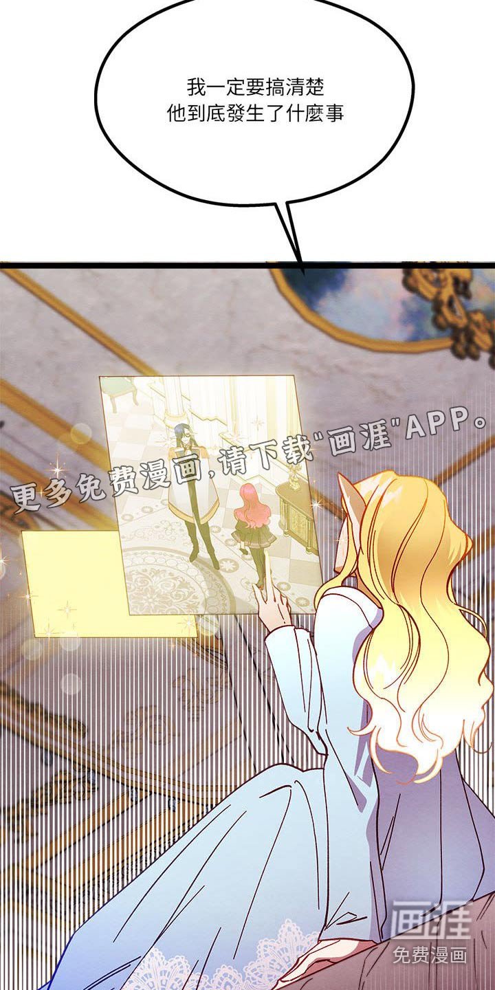 第22章：神秘玫瑰 