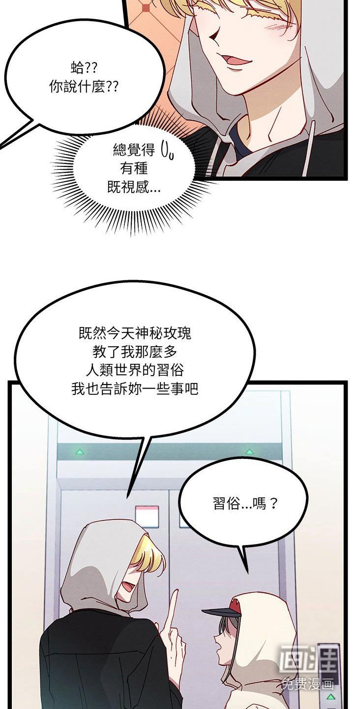 第26章：称呼