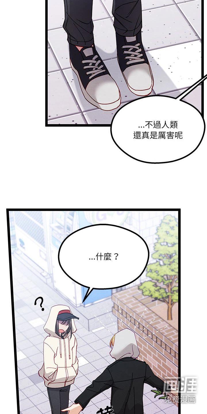 第27章：人类世界