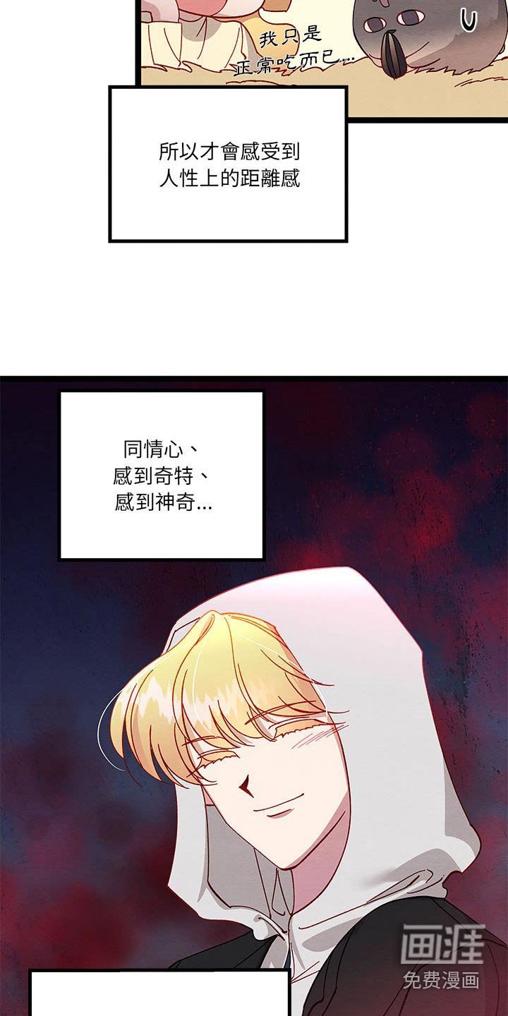 第27章：人类世界