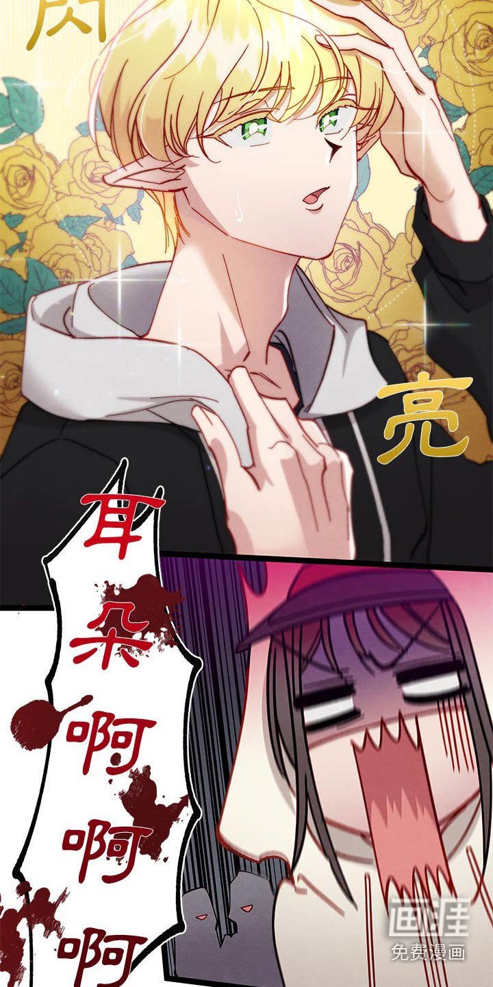 第28章：了解