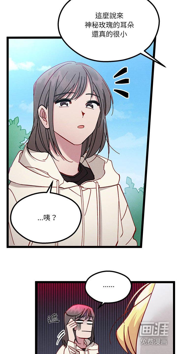 第28章：了解