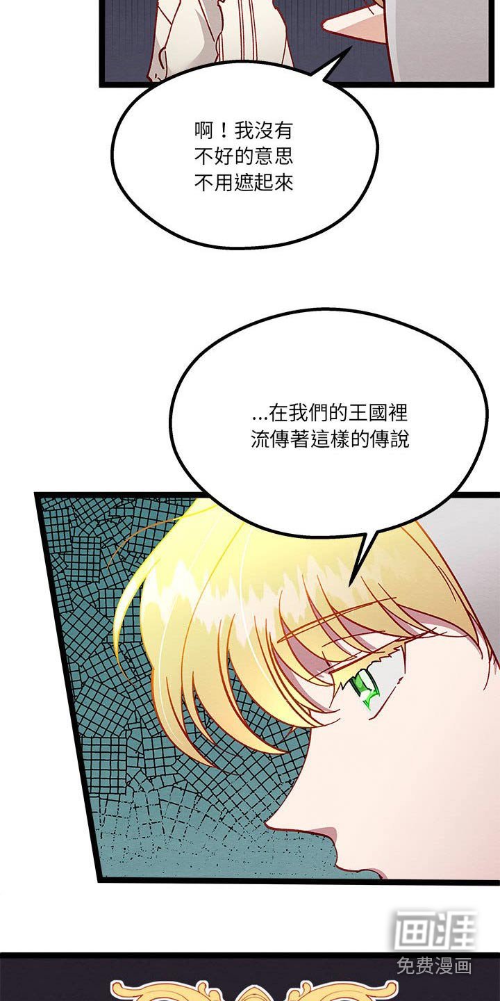 第28章：了解