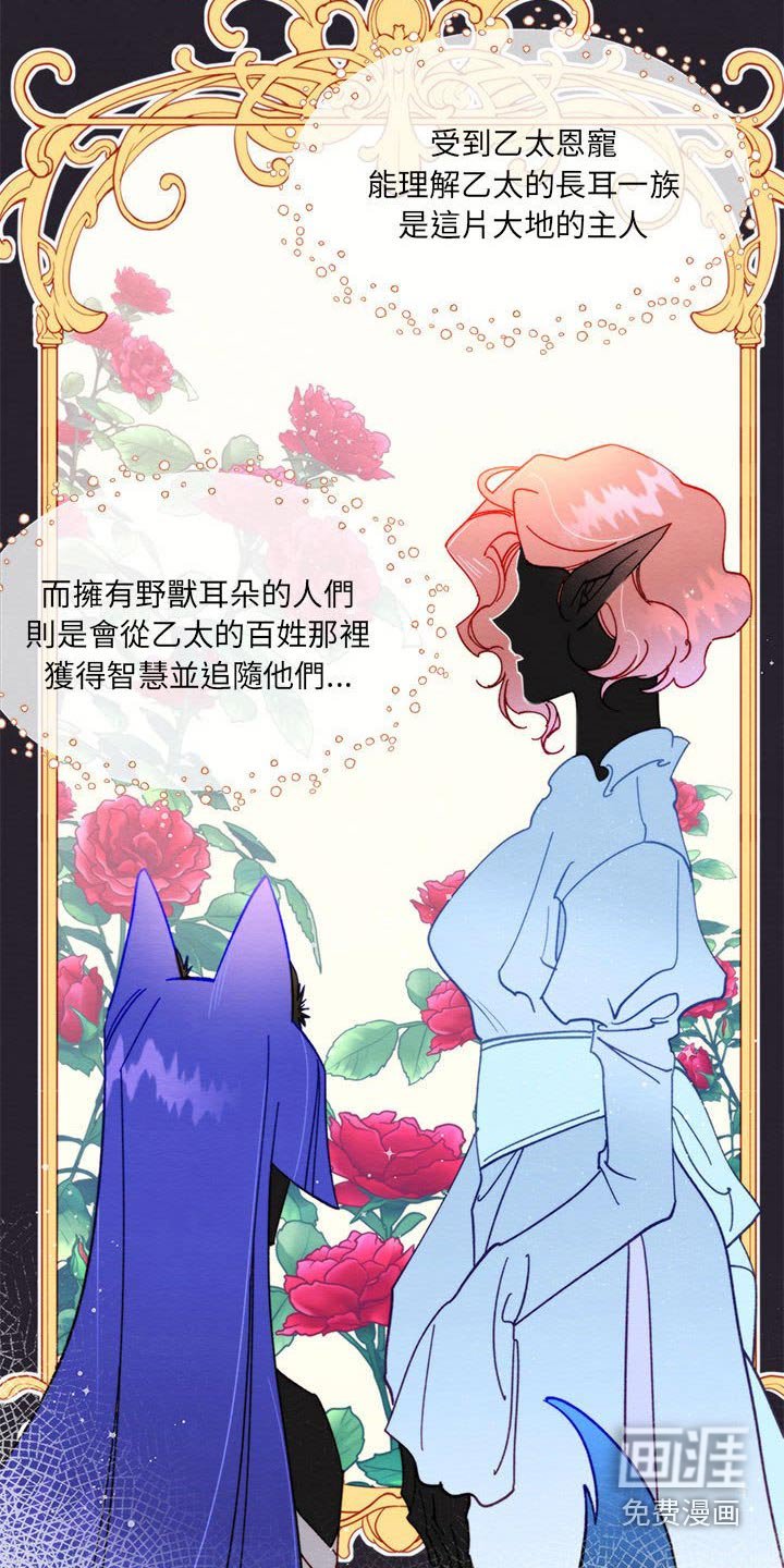 第28章：了解