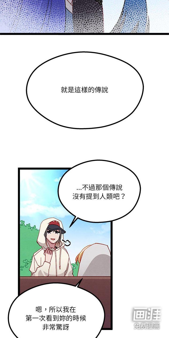 第28章：了解