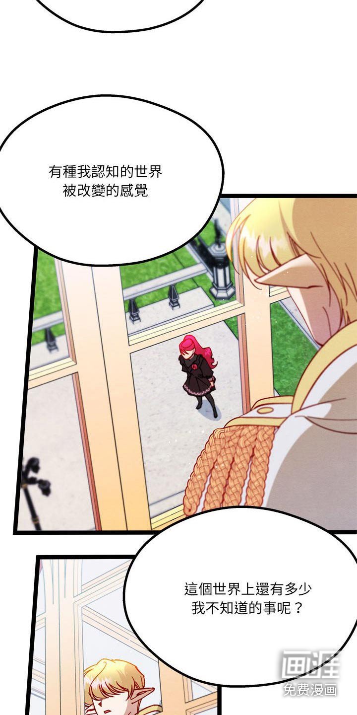 第28章：了解