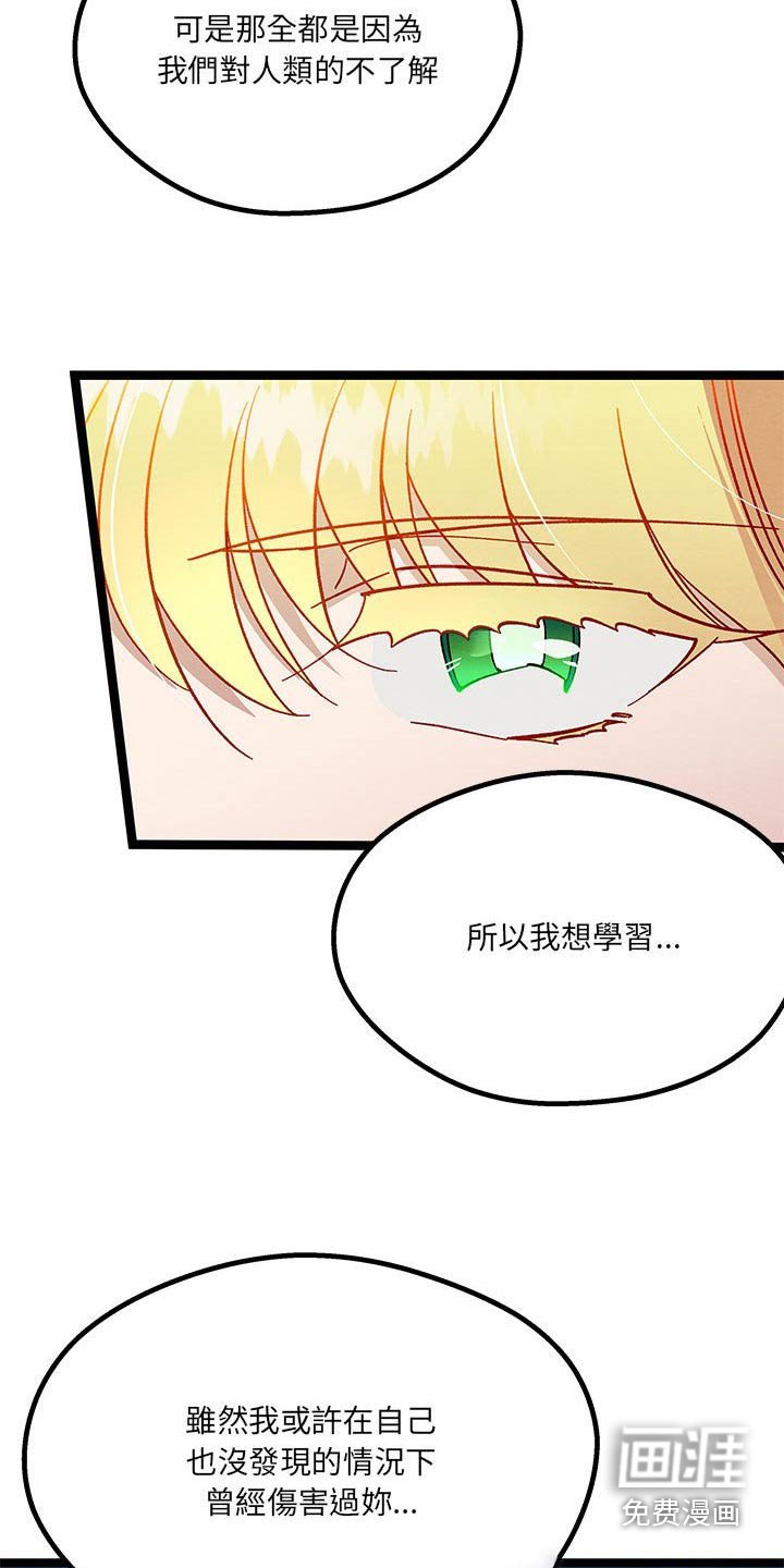 第28章：了解