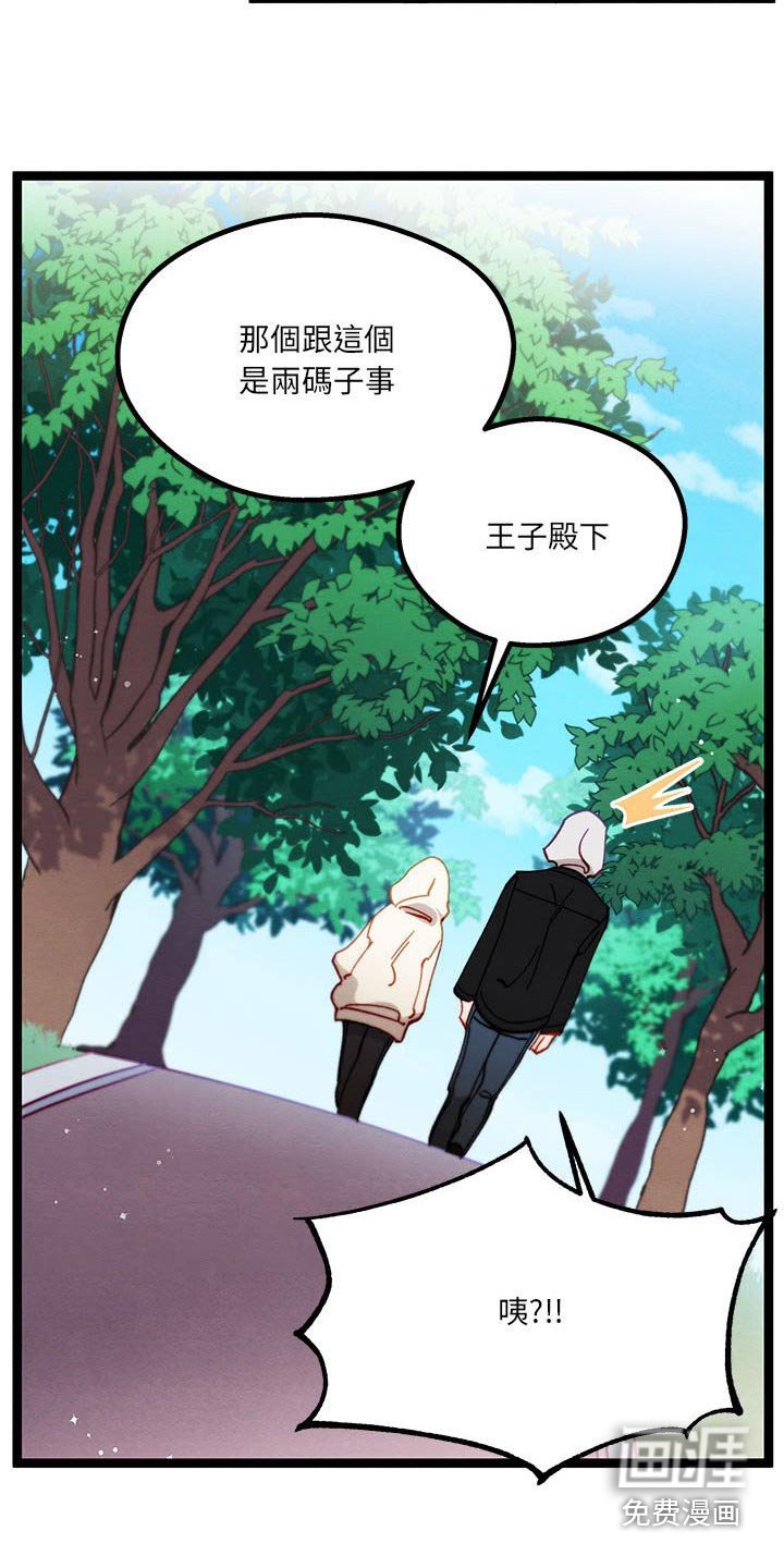 第28章：了解