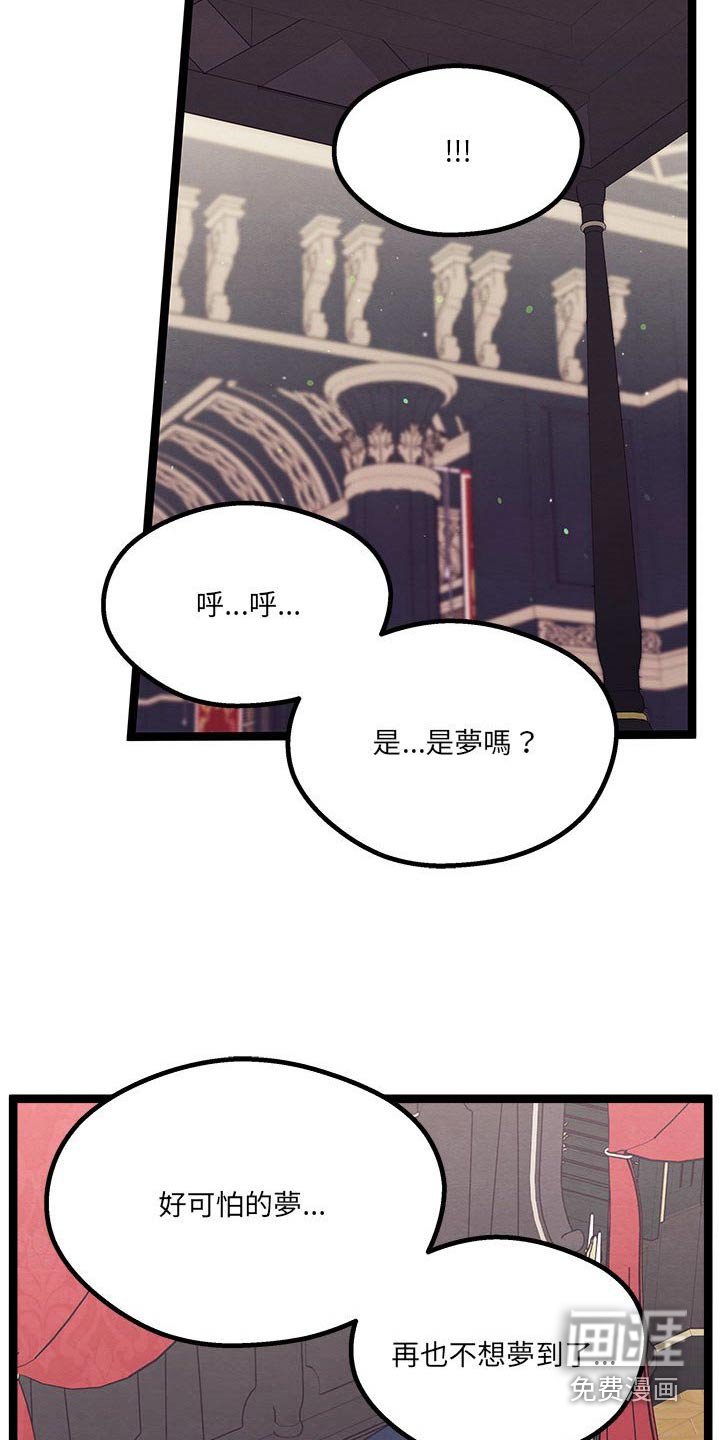 第30章：是梦