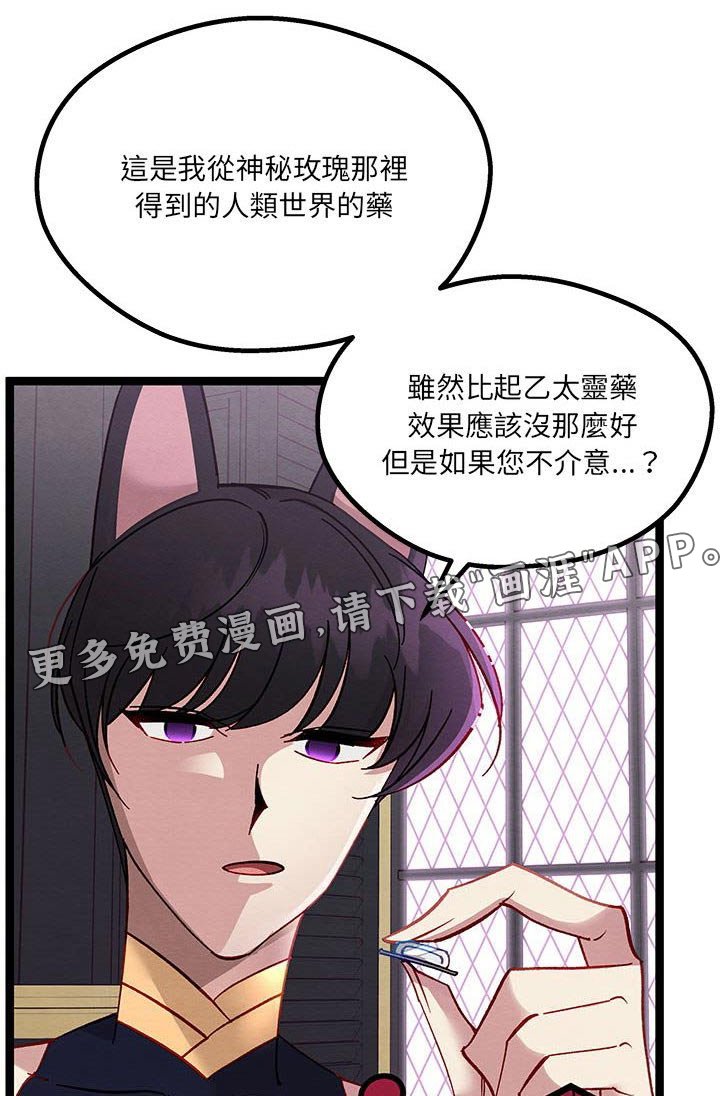 第32章：决定了 