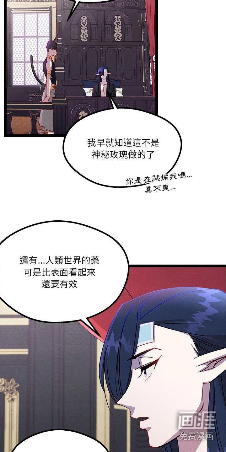 第32章：决定了 